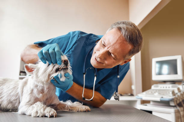 Best Urgent Dental Care in Richton, MS