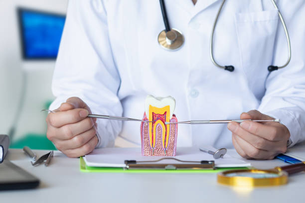 Best Emergency Root Canal Treatment in Richton, MS